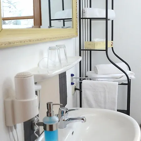 Fritz 3*